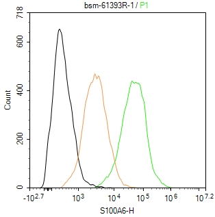 S100钙结合蛋白A6重组兔单抗