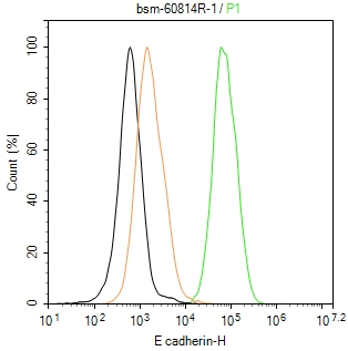 上皮钙粘附分子重组兔单克隆抗体