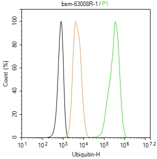 泛素蛋白重组兔单抗