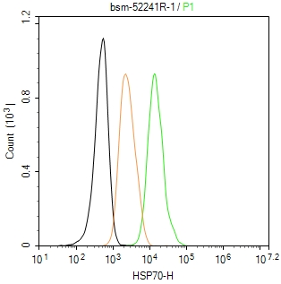 热休克蛋白-70重组兔单抗