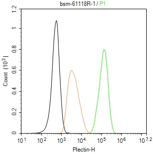 网蛋白重组兔单抗