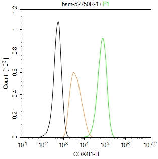 细胞色素c氧化酶IV重组兔单抗