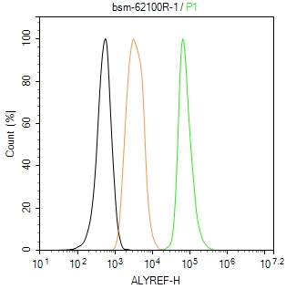 ALYREF重组兔单抗