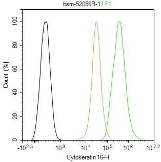 细胞角蛋白16重组兔单抗