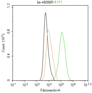 纤维连接蛋白抗体-bs-48086R