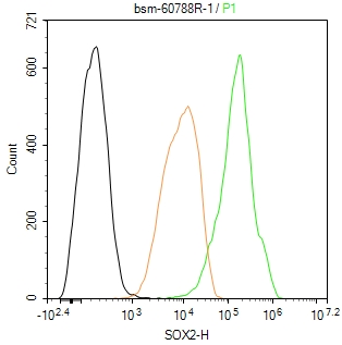 胚胎干细胞关键蛋白重组兔单克隆抗体