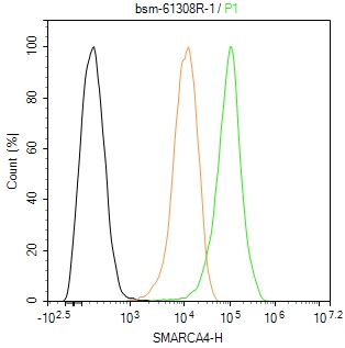 抑癌基因SNF2β重组兔单抗