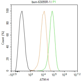 毛细血管扩张性共济失调症突变蛋白重组兔单抗