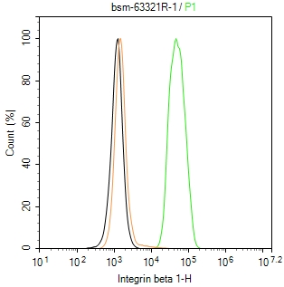 整合素β1（CD29）重组兔单抗