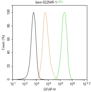 胶质纤维酸性蛋白重组兔单抗