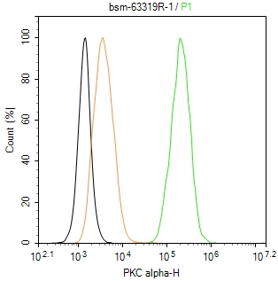 蛋白激酶C α重组兔单抗