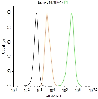 eIF4A1蛋白重组兔单抗