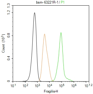 干扰素诱导跨膜蛋白3重组兔单抗
