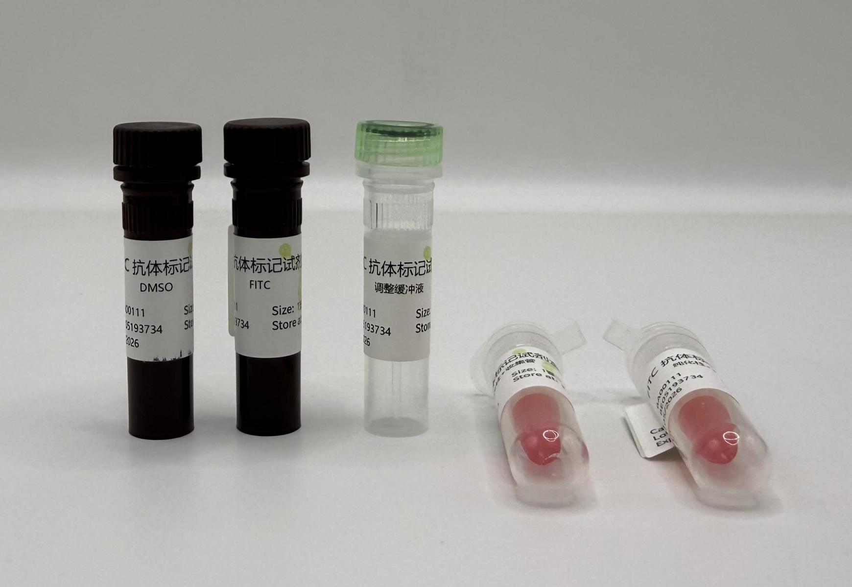 FITC Conjugation Kit (免疫学试剂) | Bioss