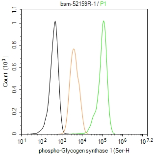磷酸化葡萄糖合成酶1重组兔单抗-bsm-52159R