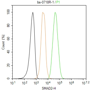 细胞信号转导分子Smad-2抗体-bs-0718R