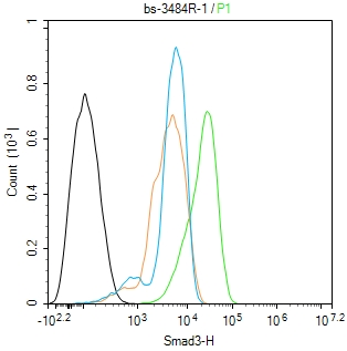 细胞信号转导分子SMAD3抗体-bs-3484R