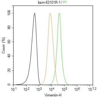 波形蛋白重组兔单抗-bsm-63101R