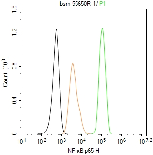 细胞核因子/k基因结合核因子重组兔单抗-bsm-55650R
