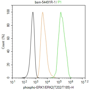 磷酸化丝裂原活化蛋白激酶1/2抗体-bsm-54491R