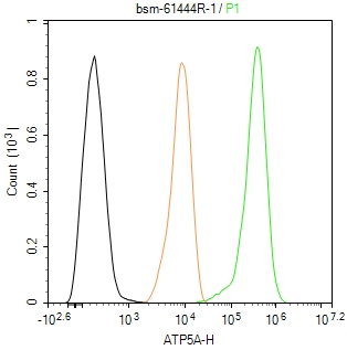 ATP5A重组兔单抗-bsm-61444R