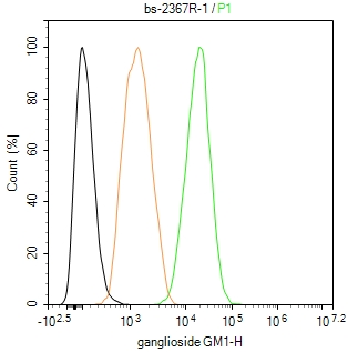 神经节苷酯抗体-bs-2367R