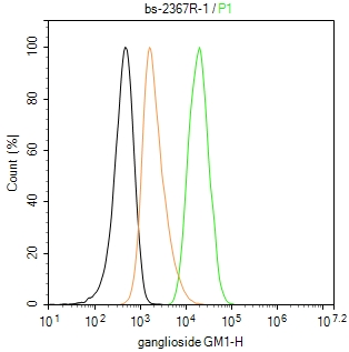 神经节苷酯抗体-bs-2367R
