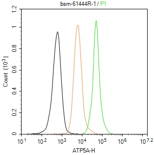 ATP5A重组兔单抗-bsm-61444R