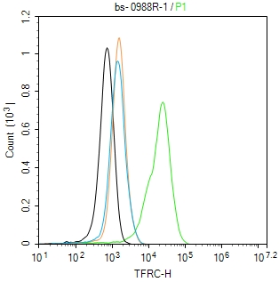 转铁蛋白受体（CD71）抗体-bs-0988R
