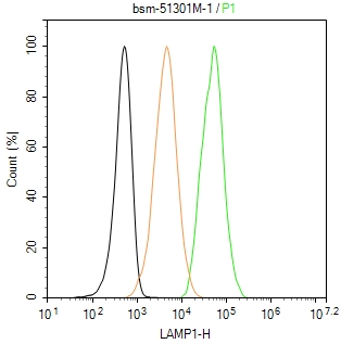 溶酶体相关膜蛋白1（CD107）单克隆抗体-bsm-51301M