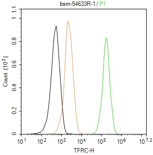 转铁蛋白受体（CD71）抗体-bsm-54633R