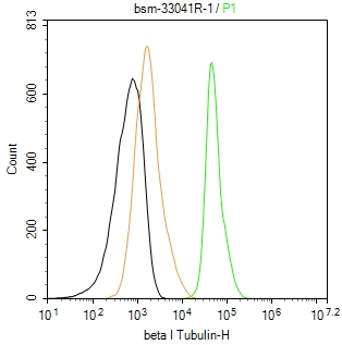 微管蛋白β1 tubulin(内参)重组兔单抗-bsm-33041R