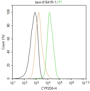 细胞色素P450 2D6重组兔单抗-bsm-61641R