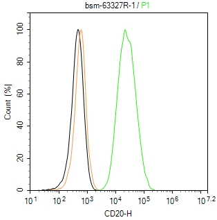 CD20重组兔单抗-bsm-63327R