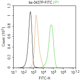 FITC标记链霉亲和素-bs-0437P-FITC