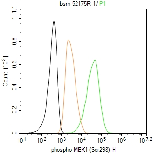 磷酸化丝裂原活化蛋白激酶激酶1重组兔单抗-bsm-52175R
