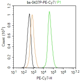 Streptavidin, PE-Cy7 conjugated (标记蛋白质与多肽) - IF,Flow-Cyt | Bioss