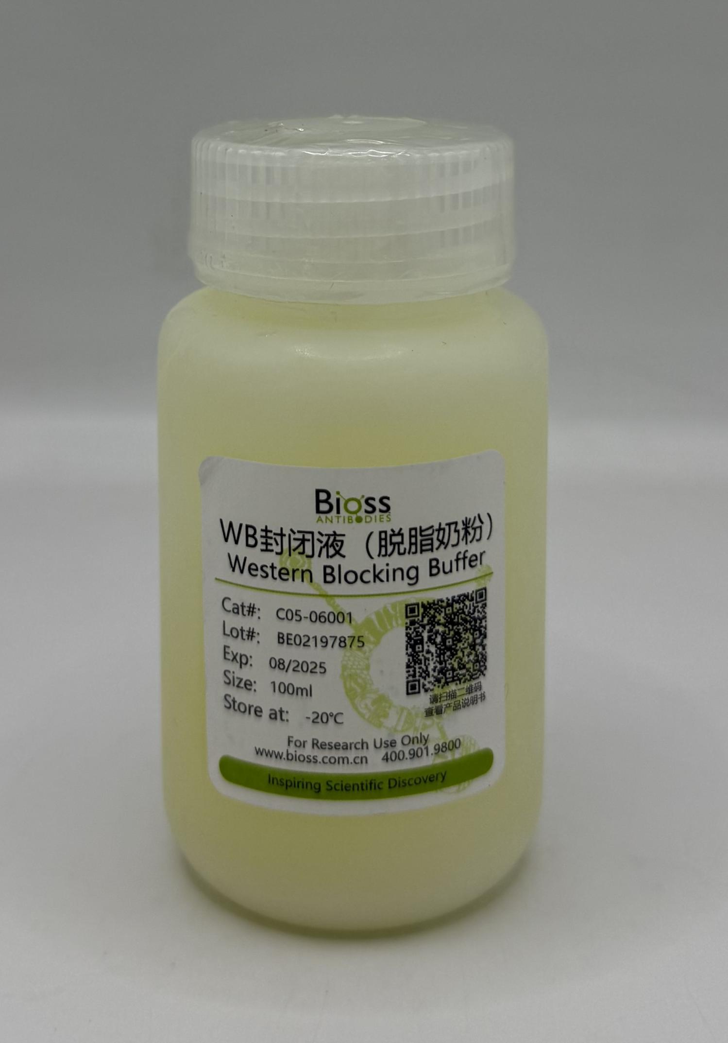 Western Blocking Buffer (缓冲液) | Bioss