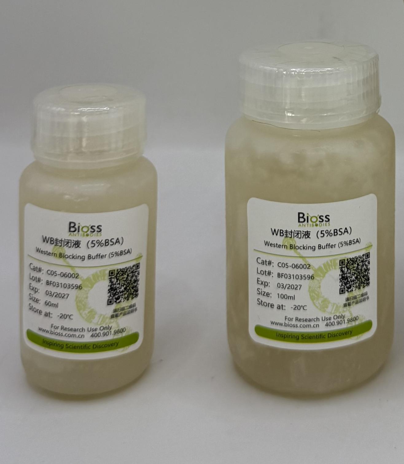 Western Blocking Buffer (5%BSA) (缓冲液) | Bioss