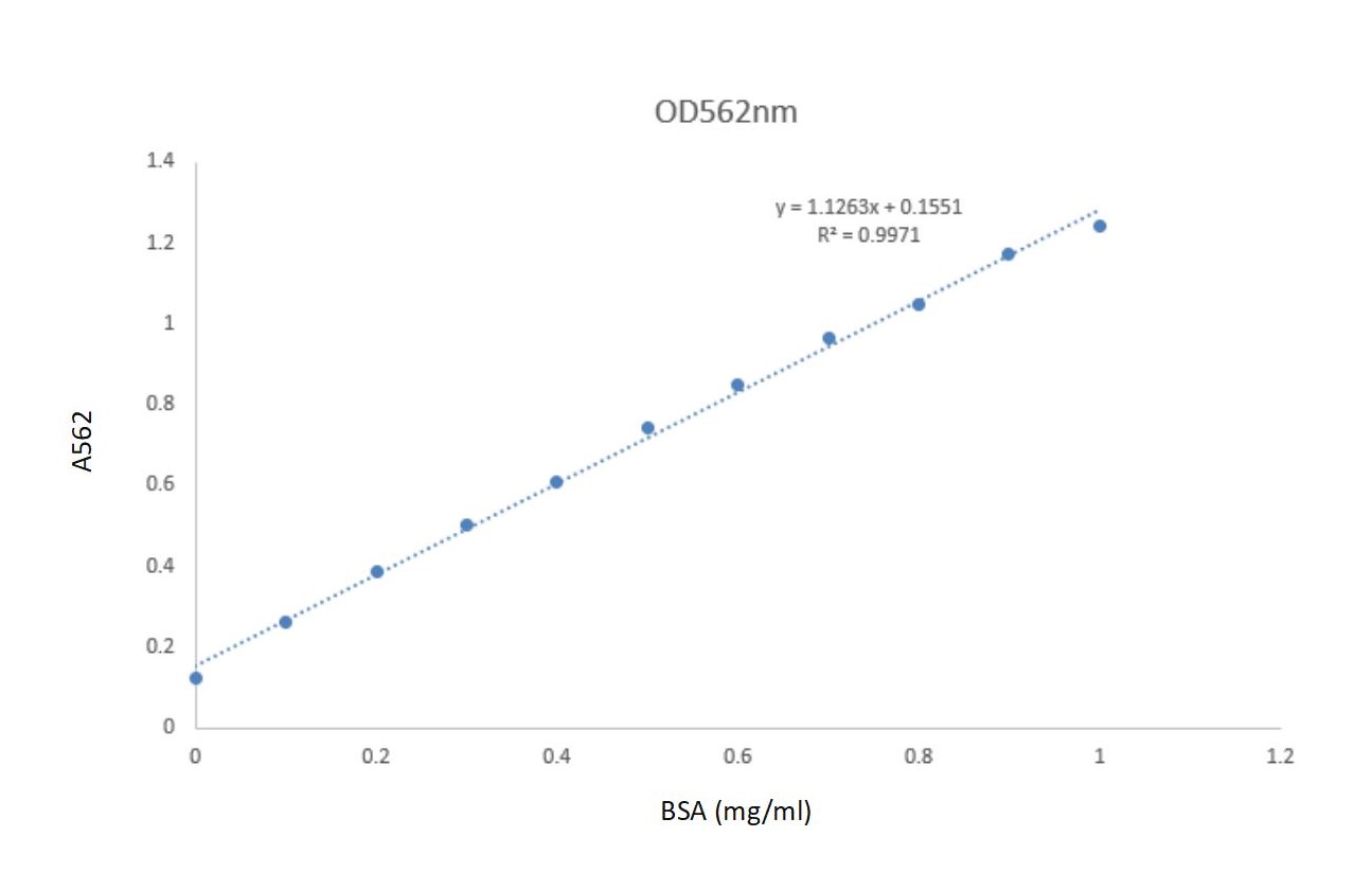 BCA蛋白定量试剂盒