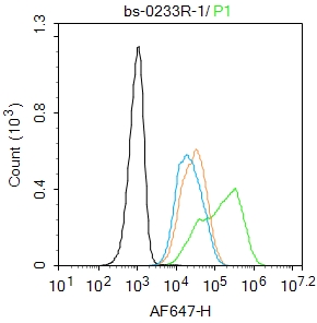 端粒酶反转录酶抗体-bs-0233R