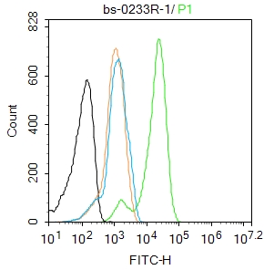 端粒酶反转录酶抗体-bs-0233R