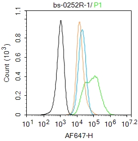 糖皮质激素受体抗体-bs-0252R