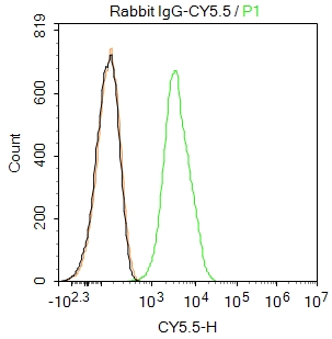 Rabbit IgG / Cy5.5 (标记免疫球蛋白) | Bioss