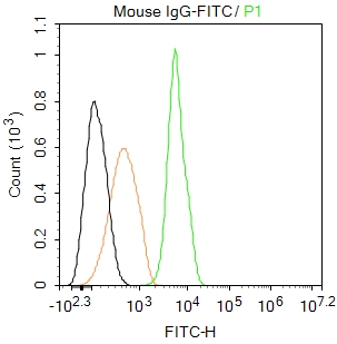 Mouse IgG / FITC (标记免疫球蛋白) | Bioss