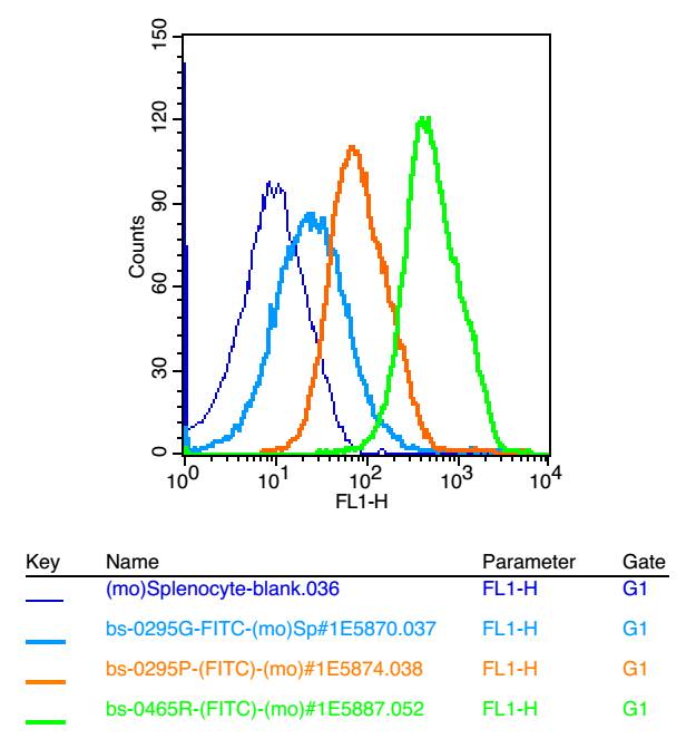细胞核因子/k基因结合核因子抗体-bs-0465R
