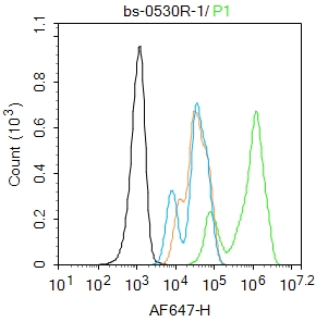 过氧化酶活化增生受体γ抗体-bs-0530R