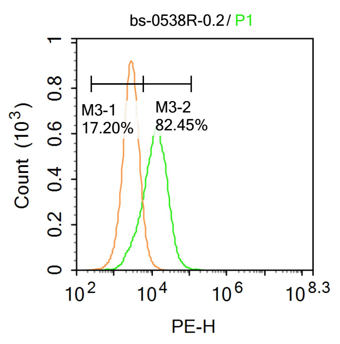 周期蛋白依赖激酶抑制因子1C抗体-bs-0538R