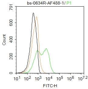水通道蛋白4抗体-bs-0634R