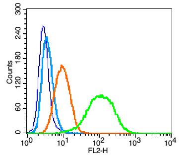 整合素α4（CD49d）抗体-bs-0641R